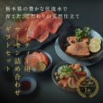 ふるさと納税 さくら市 【国産高級サーモン詰め合わせセット】サーモン刺身500g スモークサーモン 500g