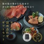 ふるさと納税 さくら市 【国産高級サーモン】【サーモン食…