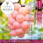 朝採りクイーンニーナ2房入 約1kg