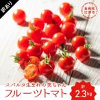 スパルタ生まれの笑ちゃん フルーツトマト 約2.3kg