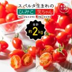 スパルタ生まれのひみこ&amp;笑ちゃん約2kg