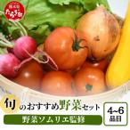 野菜ソムリエ 監修 旬の野菜 セット 4~6種類