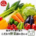 熊本の大地の恵み 旬のこだわり野菜詰め合わせセット