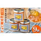 isa766 手作りはちみつ入りすももジャム 計9個