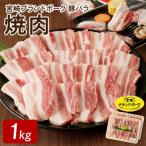 豚バラ焼肉約1kg