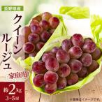 長野 信州産クイーンルージュ 赤ぶどう 約2kg