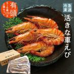 fu.... налог сверху остров блок внезапный скорость рефрижератор ... машина ..[ иметь голова 5~6 хвост ( примерно 170g)×2 пакет комплект ]