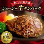 ふるさと納税 和泉市 和泉市牛タンバーグ100g×6パック(冷凍)