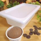 ふるさと納税 津山市 アイス職人の作るこだわり チョコ アイスクリーム 業務用 2リットル入り