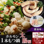 極太ホルモン 1本もつ鍋 醤油味 太腸編 1kg入り