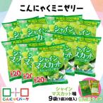 ショッピングふるさと納税 シャインマスカット ふるさと納税 甘楽町 こんにゃくパーク「お得用こんにゃくミニゼリー (シャインマスカット味)」20個入×9袋