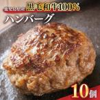 ふるさと納税 鹿屋市 鹿児島県産 黒毛和牛 100% ハンバーグ 10個 1525 KN041-008