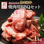 ふるさと納税 鹿屋市 訳あり 鹿児島県産 黒毛和牛 焼肉用 BBQセット 計1,000g 2617KN041-003-01