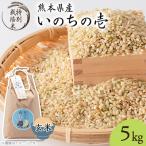 ふるさと納税 南阿蘇