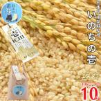 ふるさと納税 南阿蘇�