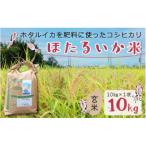 ふるさと納税 滑川市 【ほたるいか米】玄米　10kg