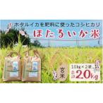 ふるさと納税 滑川市 【ほたるいか米】玄米　20kg(10kg×2袋)