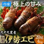 8 2~発送開始 旨い 冷凍品とは思えない
