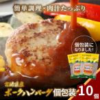 南国宮崎ポークハンバーグ 100g×10個