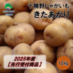 ふるさと納税 豊頃町 十勝野じゃがいも きたあかり10kg【2025年産】(先行受付)[按田農場]