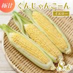 春獲れ一番 極甘くんじゃんこーん 8本
