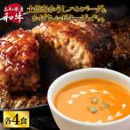 ハンバーグとかぼちゃポタージュのセット 各4食