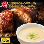 ハンバーグとじゃがいもポタージュのセット 各3食