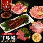 牛肉 ステーキ 全3回定期便 産牛 豚 鰻バラエティ定期便