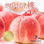 ふるさと納税 山梨市 完熟収穫桃 約1.5kg 山梨県産 自社農園産直!