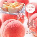 ふるさと納税 山梨市 【訳あり】完熟収穫桃 約5kg 山梨県産 自社農園産直!