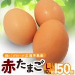 餌にこだわった三浦半島産赤たまご Lサイズ10kg 約150個