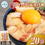 活き締めタイの醤油漬け丼 20袋セット