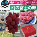 2027年発送先行受付 見つけたらラッキーなかなかお目にかか…
