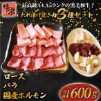 たれ漬け 焼き肉 セット 計600g