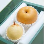 詰め合わせ2玉 箱赤秀 あたご1玉 鴨梨1玉