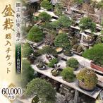 受賞歴多数の盆栽芸術家 秋山実 と選ぶ 盆栽購入チケット 6…