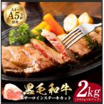 ふるさと納税 泉佐野市 A5/A4等級黒毛和牛サーロインステーキカット合計2kg(250g×8p)極味付け肉 CFX0061