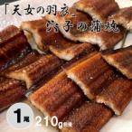 天女の羽衣 あなご 蒲焼 1尾