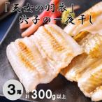 ふるさと納税 大田市 「天女の羽衣」穴子 一夜干し 3尾　300g以上　(A188)
