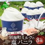 大 店の贅沢ジェラートセット チョコチップ8個