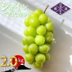 ふるさと納税 山梨市 朝採れ シャインマスカット 2.0kg (3〜4房) 山梨県山梨市
