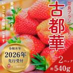 ふるさと納税 奈良市 【先行受付】2026年(令和8年)1月以降順次発送 厳選古都華いちご(270g×2P) drm002