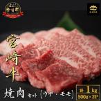 ふるさと納税 小林市 【A4等級以上】宮崎牛おためし赤身焼肉 500g×2P(DAS067)(小林市)