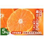 ふるさと納税 和泉市 四季盛農園の本貯蔵 蔵出しみかん5Kg　【1月中旬頃から順次発送】
