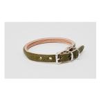 good collar 2号 オリーブ