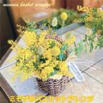 ミモザのバスケットアレンジ おしゃれなお花をインテリア