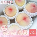 fu.... налог .. город [ цветок рисовое поле синий .] предшествующий прием белый персик примерно 2kg. сырой * средний сырой 