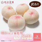 ふるさと納税 浅口市 【花田青果】先行受付 清水白桃 ご家庭用 約2kg
