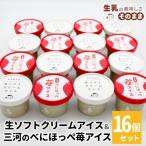 ふるさと納税 根羽村 生ソフトクリームアイス&べにほっぺ苺アイス 16個入り
