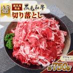 黒毛和牛 切り落とし 計750g